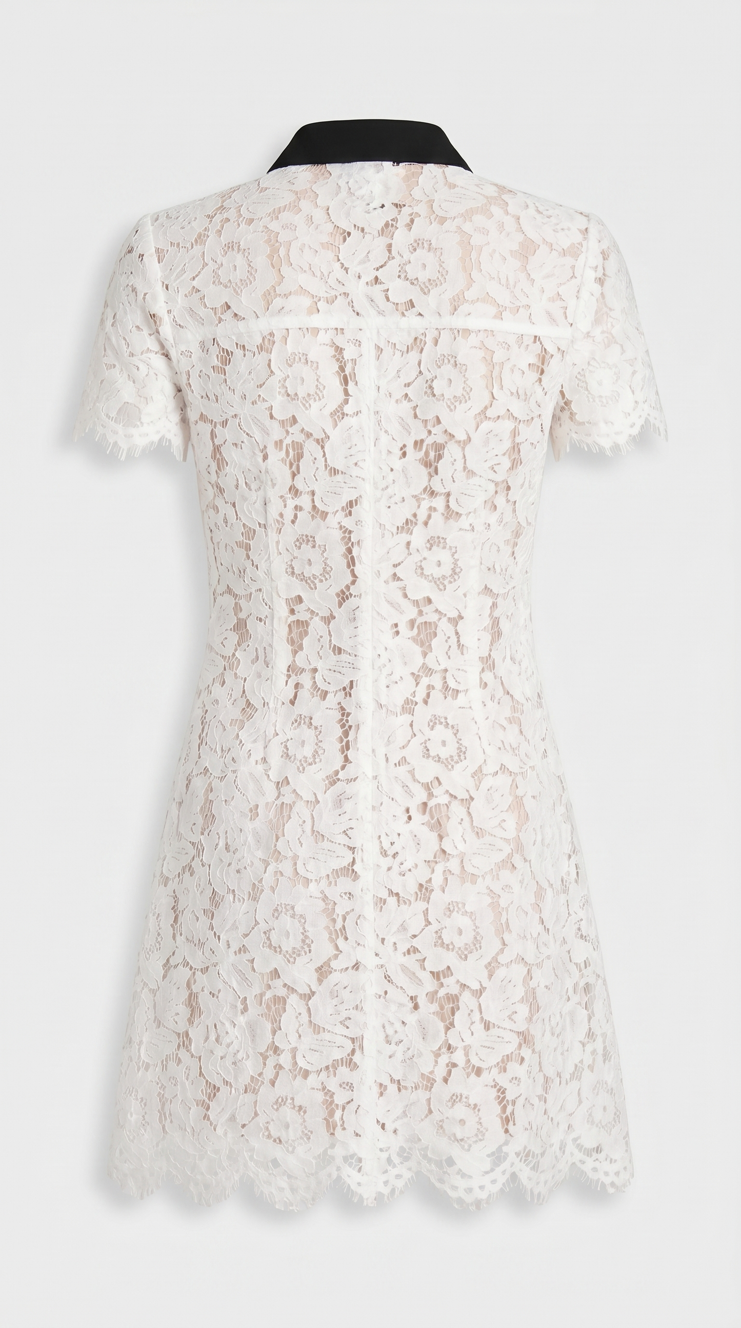 Pura - Contrast-Trim Floral Lace Mini Dress