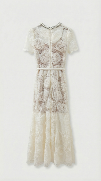 Tula - Rose Lace Maxi Dress with Crystal Neckline