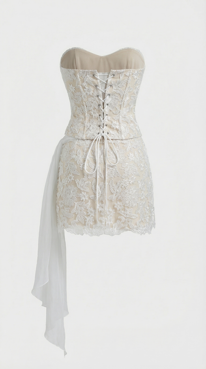 Ankora - Draped Lace & Chiffon Bustier Mini Dress