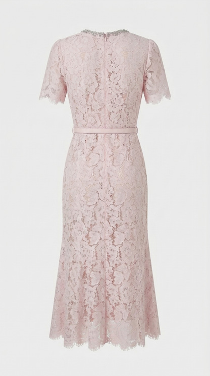 Nory - Elegant Pink Lace Fish-Tail Evening Gown