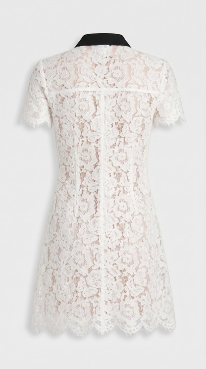 Pura - Contrast-Trim Floral Lace Mini Dress