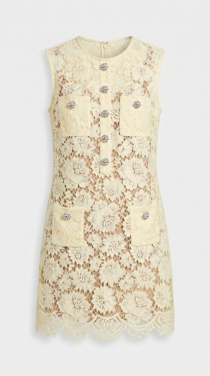 Tide - Sleeveless Floral Lace Shift Mini Dress