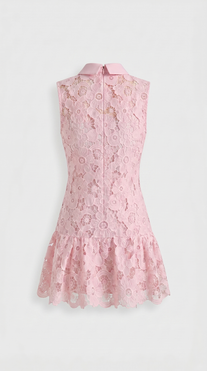 Mina - Collared Lace Drop-Waist Mini Dress