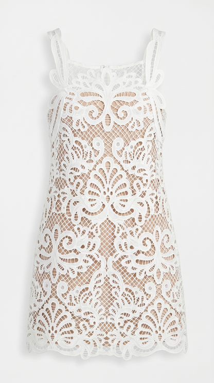 Amal - Graphic Guipure Lace Mini Dress