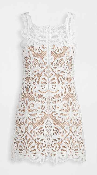 Amal - Graphic Guipure Lace Mini Dress