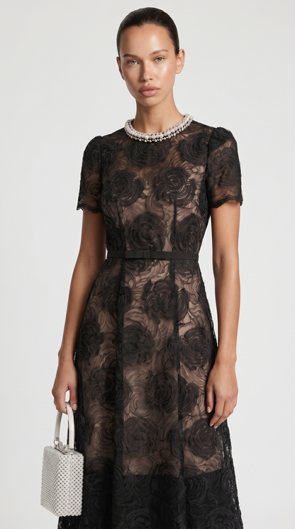 Tula - Rose Lace Maxi Dress with Crystal Neckline Black
